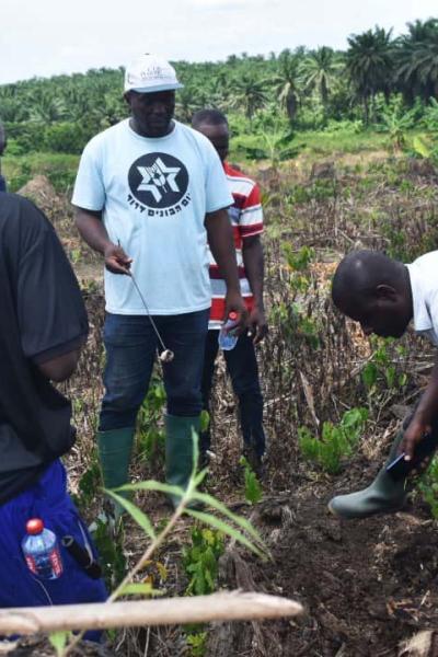 Crop Protection Gallery 6