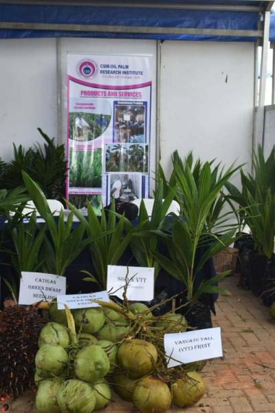 Exhibition Of Products