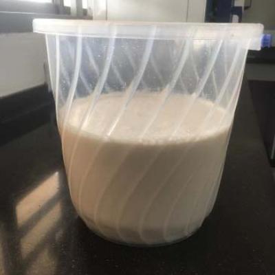 High Quality Coconut Milk Production