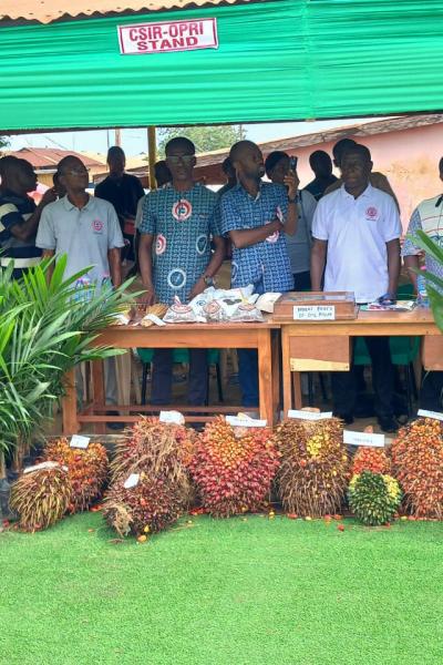 Oil Palm Festival