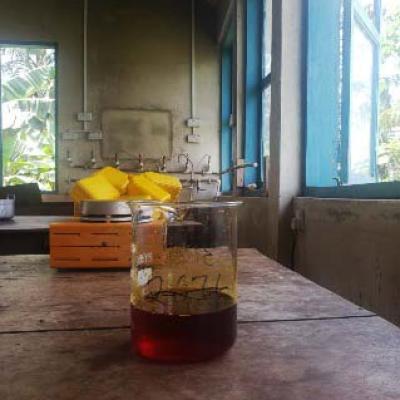 Palm Oil Analyses